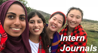 graphic link to WHE Intern Journals