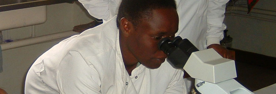 Person looking into a microscope
